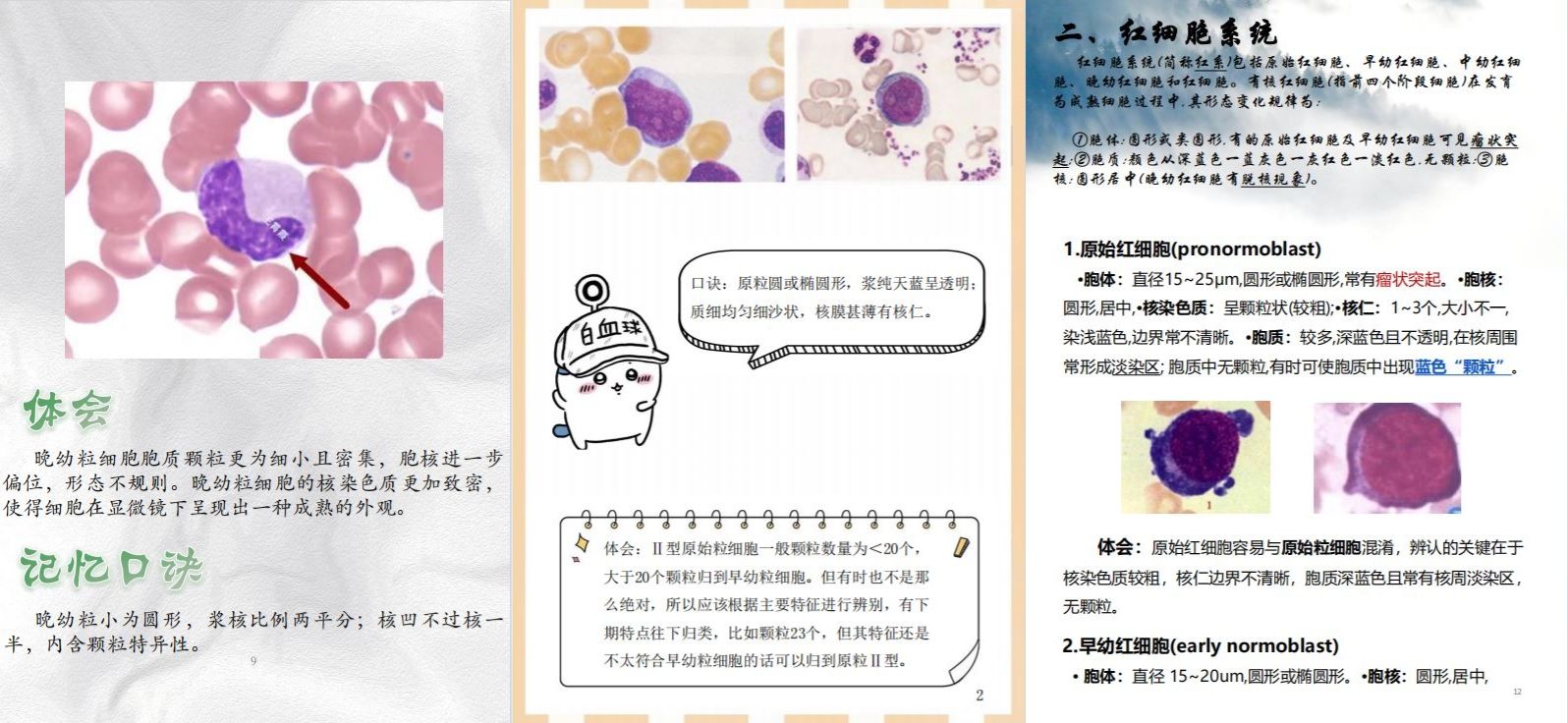 微信图片_20250524231040