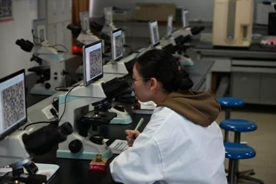 6bb2f6b2934df6bc24e6875f8d41e102